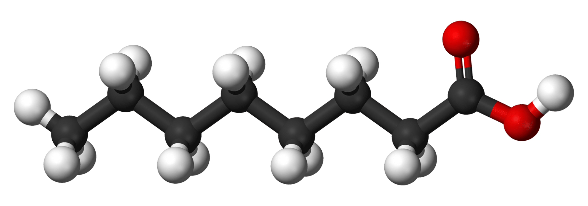 my-experience-with-mct-oil-benefits-vs-side-effects-gene-food