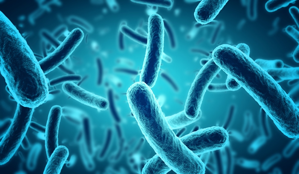 What Are The Health Benefits Of Bifidobacterium Longum? - Gene Food