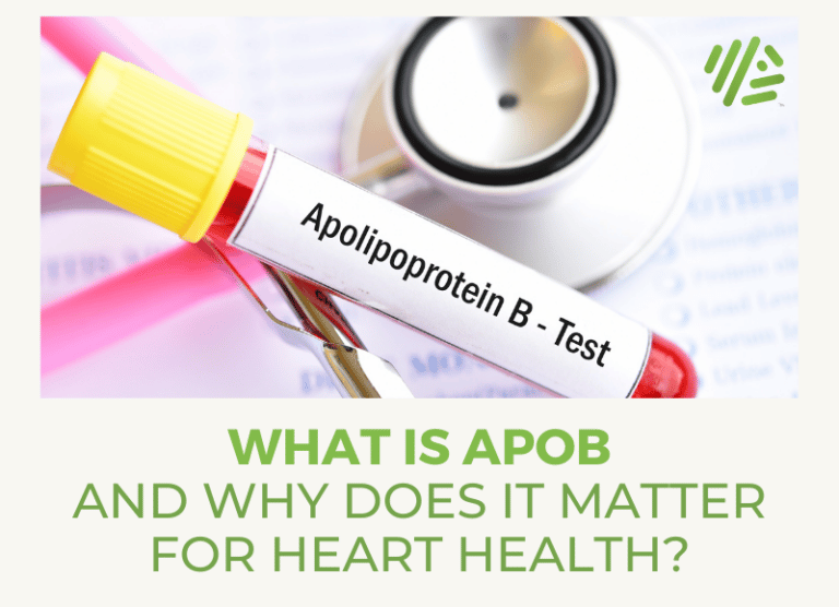 ApoB and Heart Heart Health 101: Why ApoB Matters - Gene Food