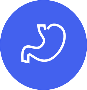 Digestive icon